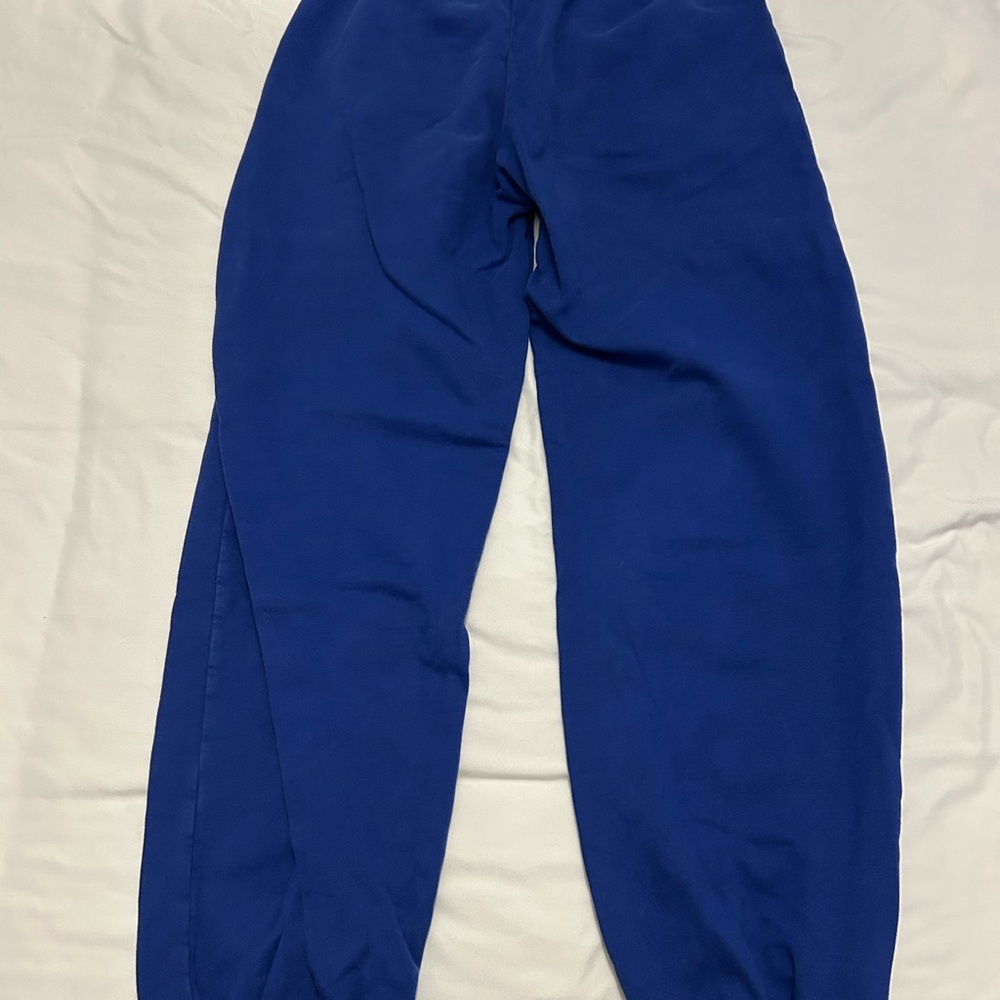 Blue Brandy Melville Sweatpants